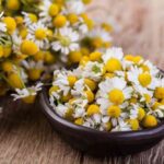 Ромашковый чай для женщины: плюсы и минусы.